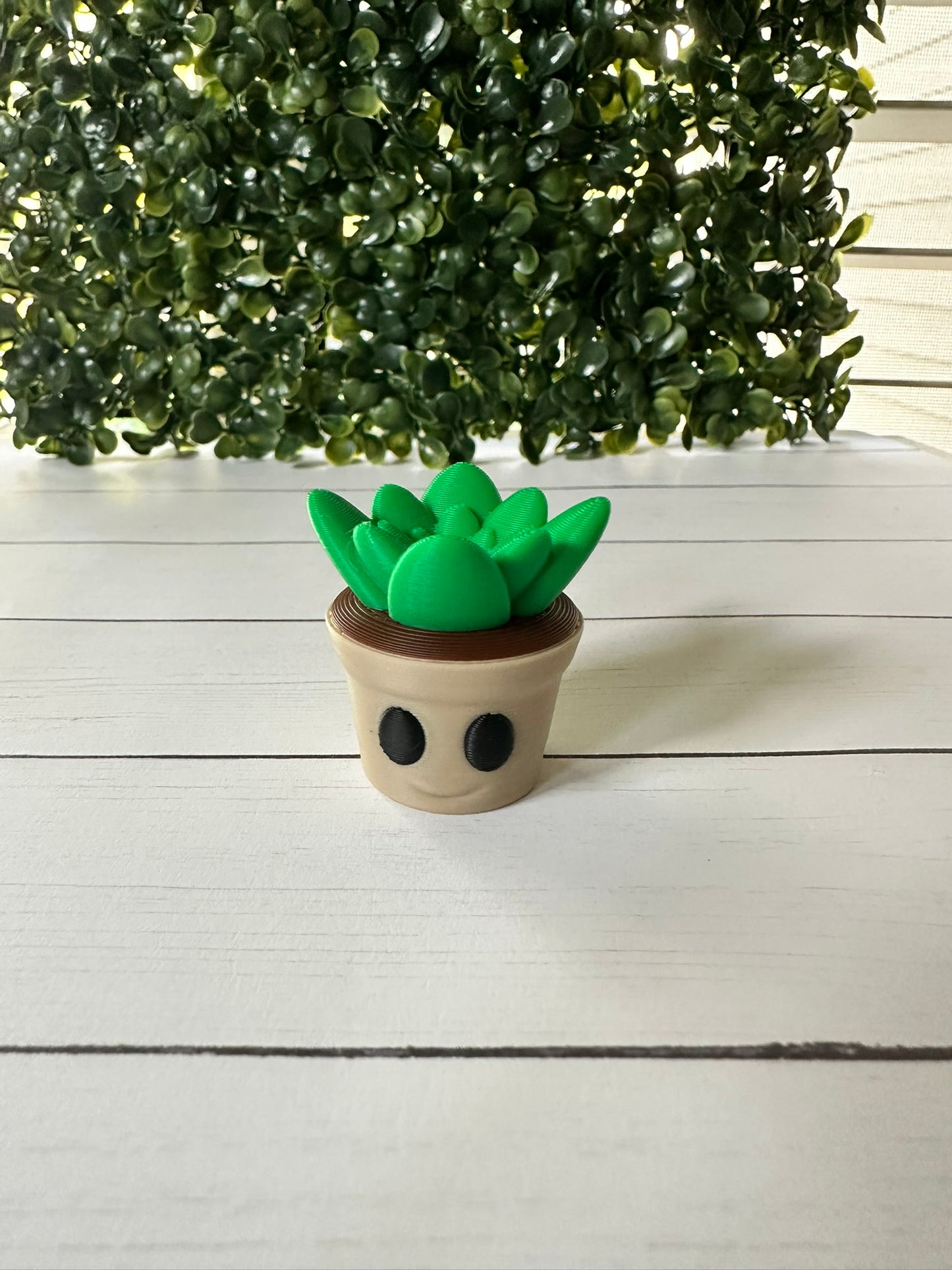 Mr. Plantly