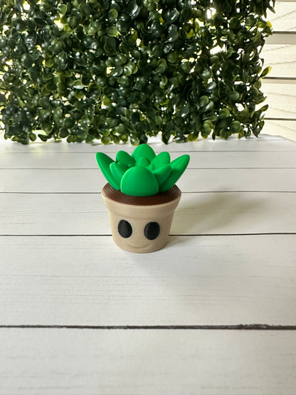 Mr. Plantly