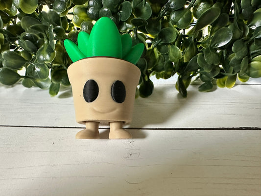 Mr. Plantly