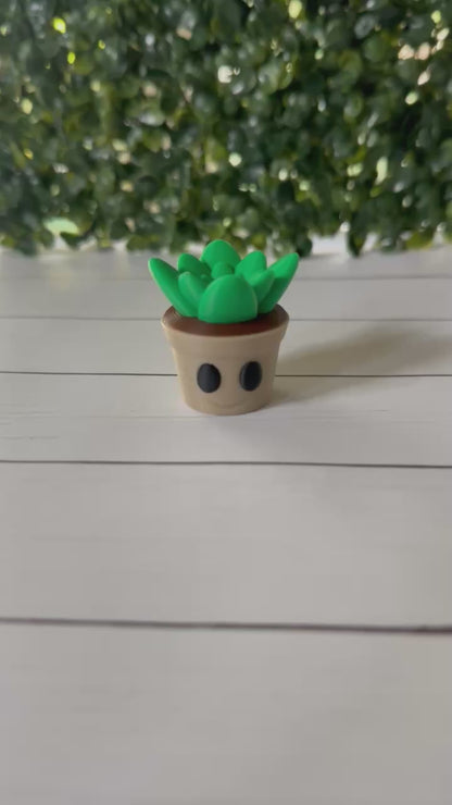 Mr. Plantly